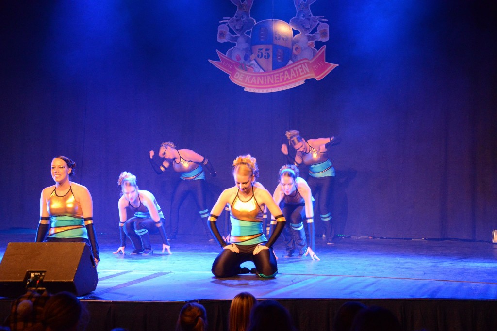 ../Images/Dansmarieke festival 2015 566.jpg